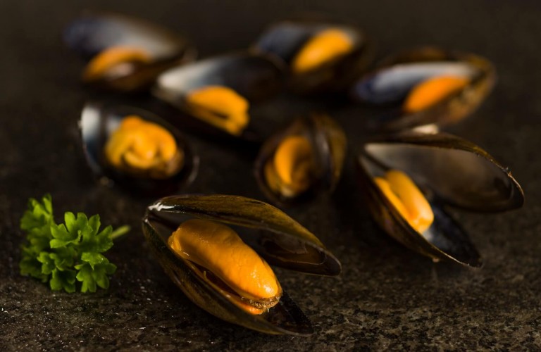 Food Photography of Mussels Food Photography of Mussels