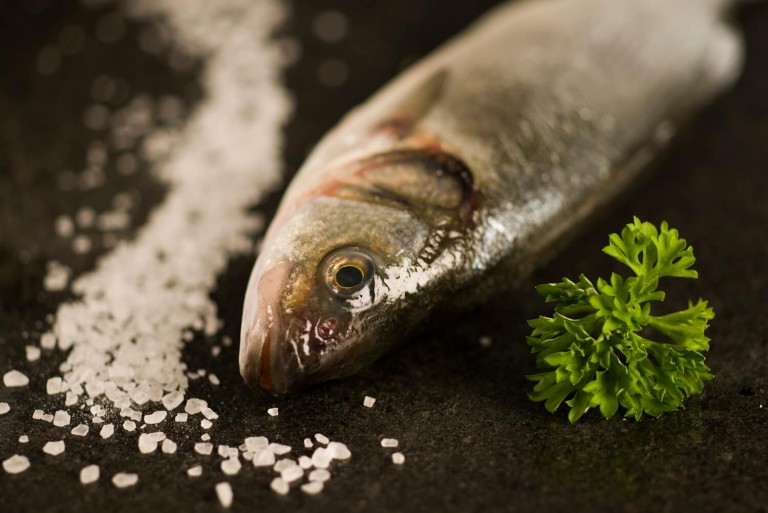 Food Photography of Seafood Food Photography of Seafood