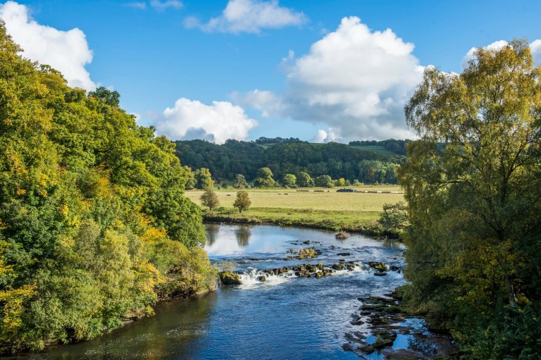 Landscape Photograph of Clyde Valley